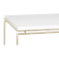Silver Iron Rectangular Coffee Table with Biancaneve Top