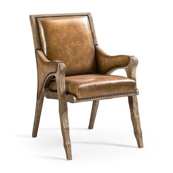 Echo Canyon Leather Arm Chair