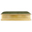 Green Faux Shagreen Gilded Box