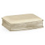 Faux Shagreen Silvered Box (Cream)