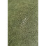 Green Faux Shagreen Gilded Side Table