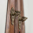 Queen Anne Walnut Bureau with Chinoiserie Interior & Mirrored Doors