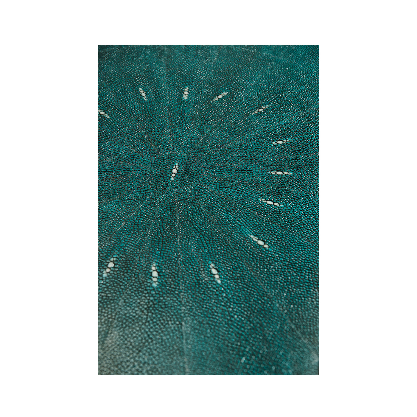 Teal Faux Shagreen and Bronze Legged Console