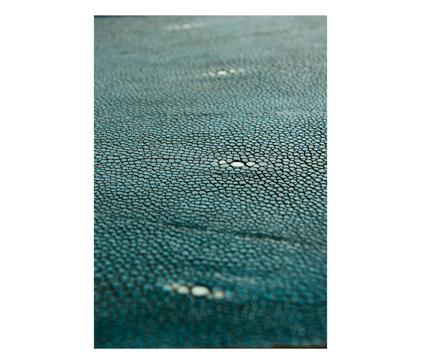 Teal Faux Shagreen and Bronze Legged Console