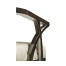 Black Eucalyptus Dining Arm Chair