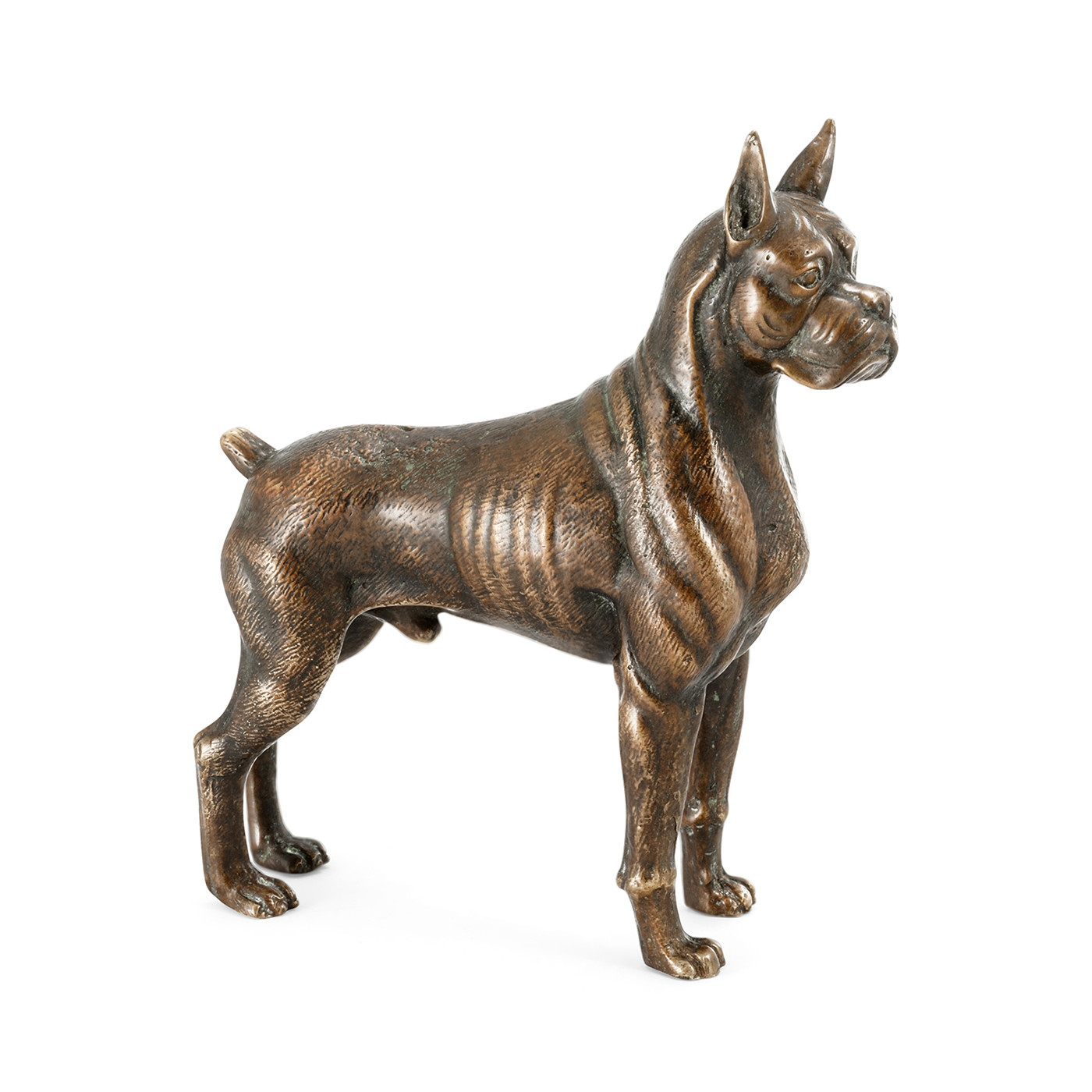 Copper Toned Bronze Boxer Dog