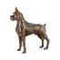 Copper Toned Bronze Boxer Dog