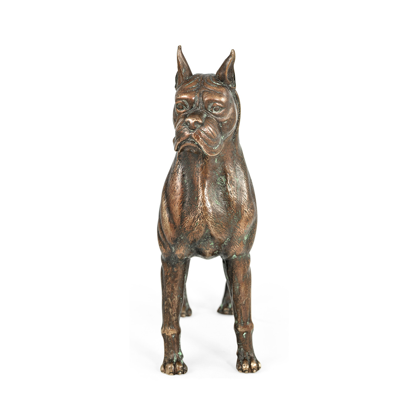 Copper Toned Bronze Boxer Dog