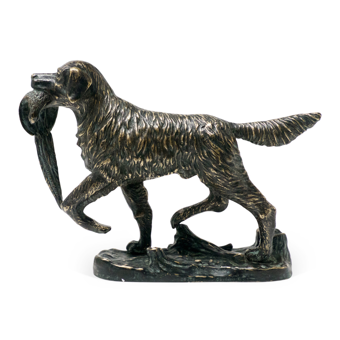 Dark Bronze Golden Retriever Dog