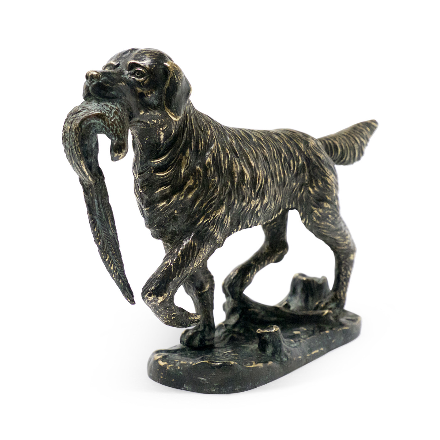 Dark Bronze Golden Retriever Dog