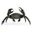 Dark Bronze Crab