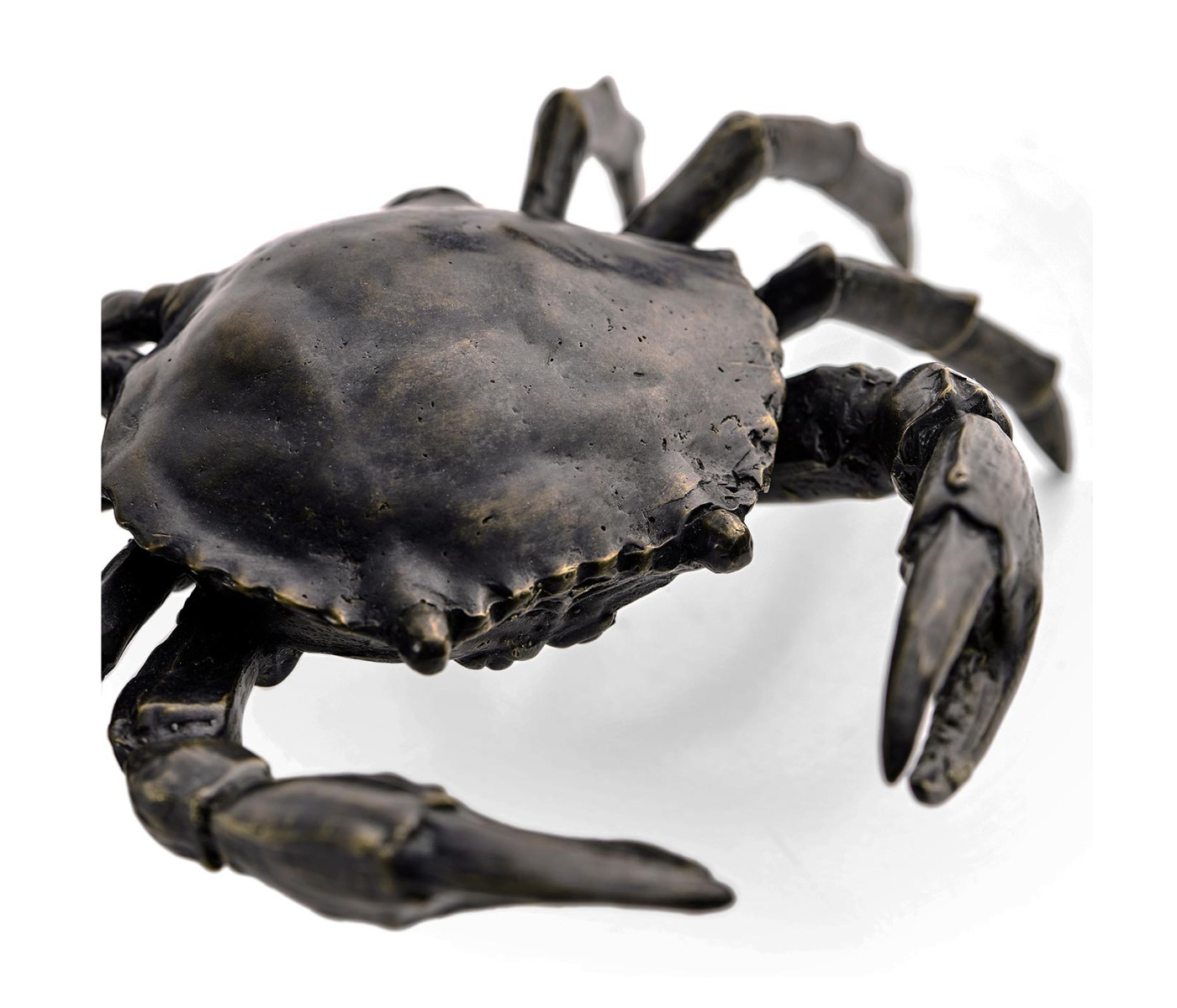 Dark Bronze Crab