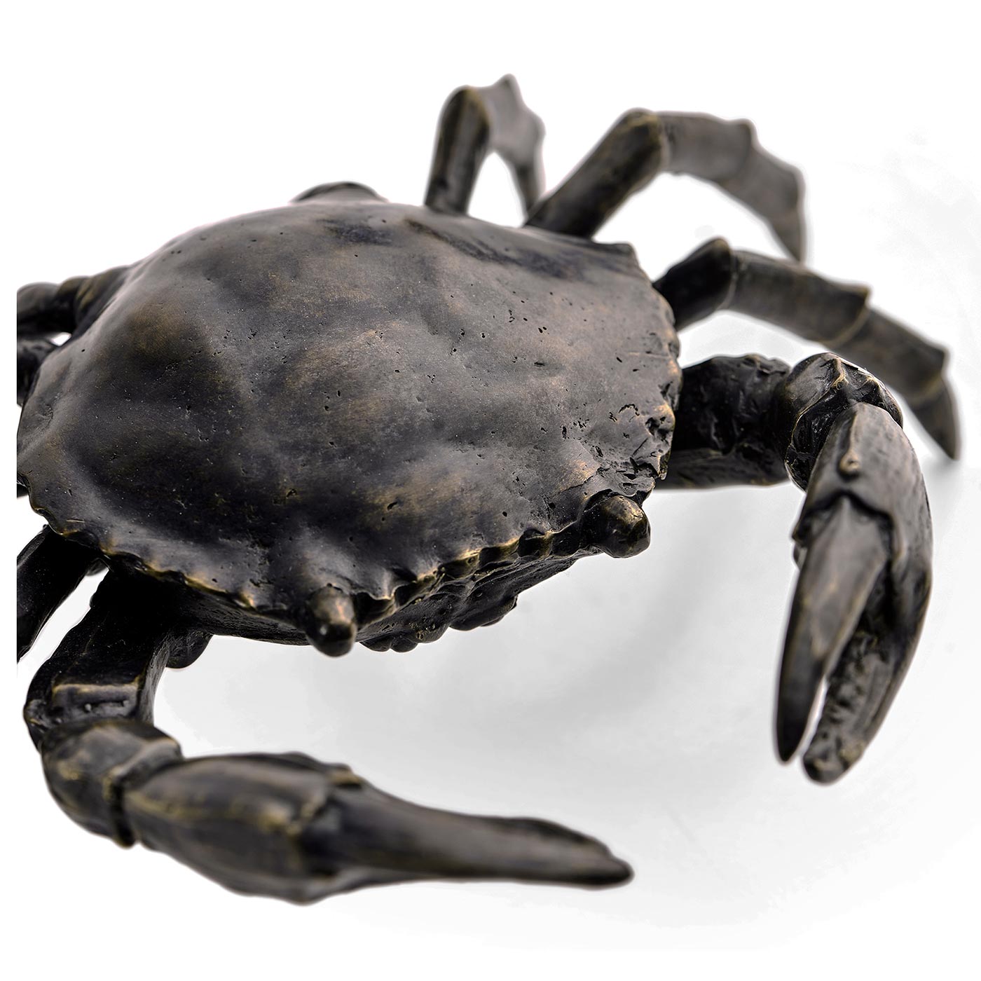 Dark Bronze Crab