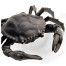 Dark Bronze Crab