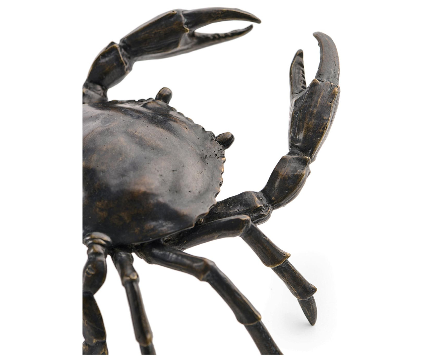 Dark Bronze Crab