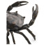 Dark Bronze Crab