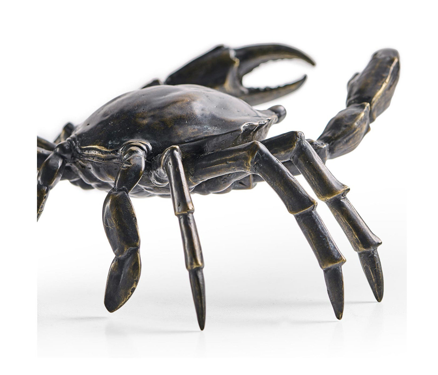 Dark Bronze Crab