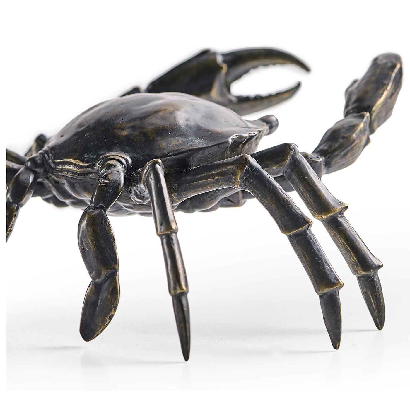 Dark Bronze Crab