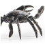 Dark Bronze Crab
