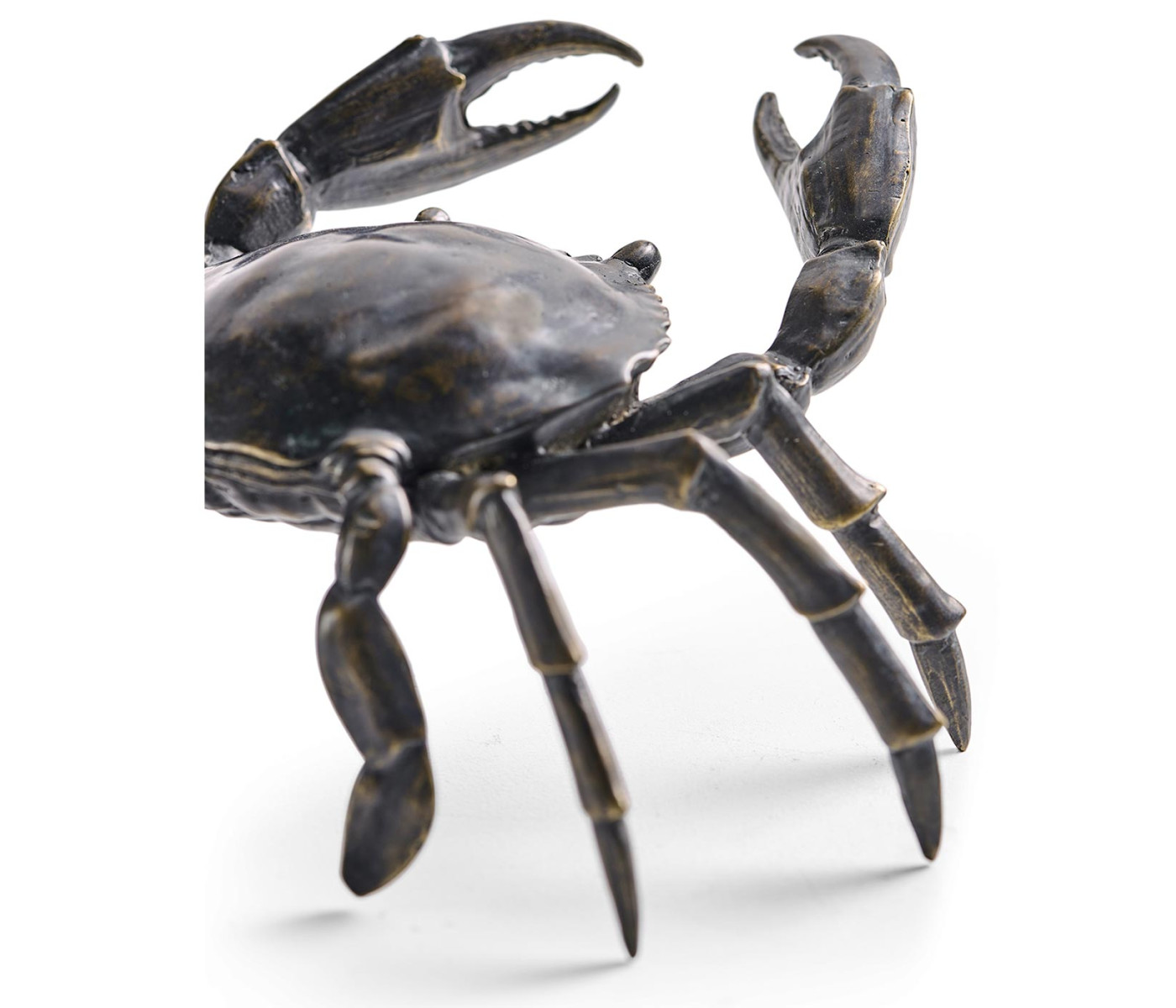 Dark Bronze Crab
