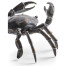 Dark Bronze Crab