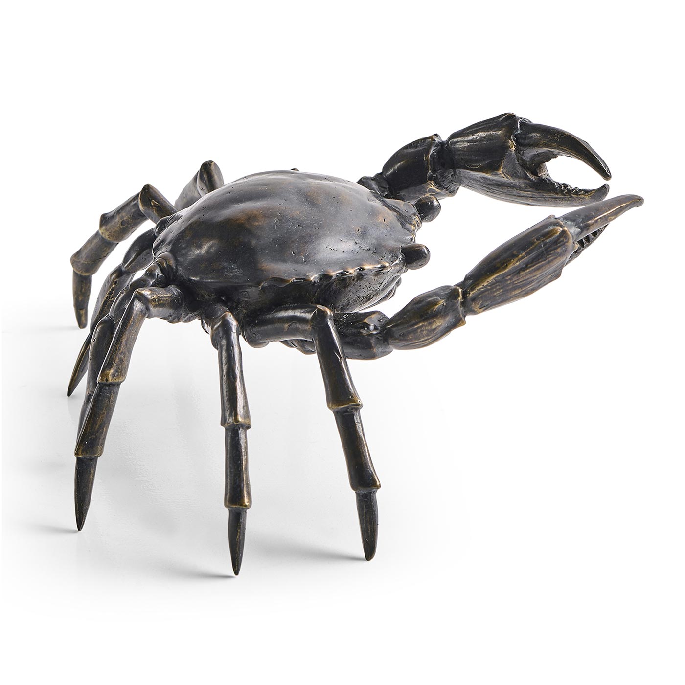 Dark Bronze Crab