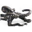 Antique Dark Bronze Octopus