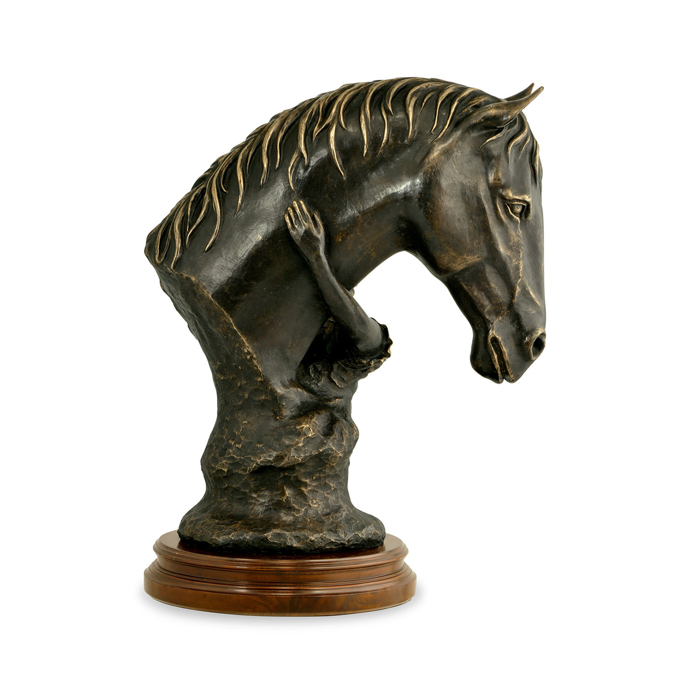 Antique Dark Bronze Young Girl & Her Horse