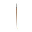 Mahogany Walking Stick with Brass Dog Topper