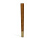 Mahogany Walking Stick with Brass Dog Topper