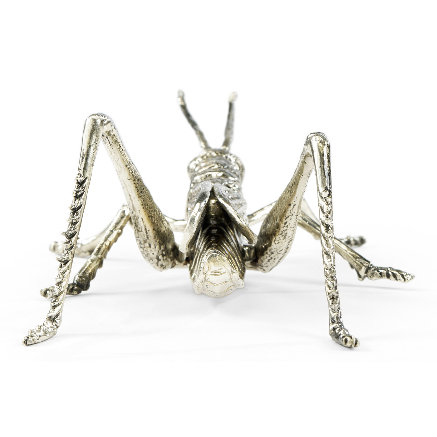 White Brass Grasshopper