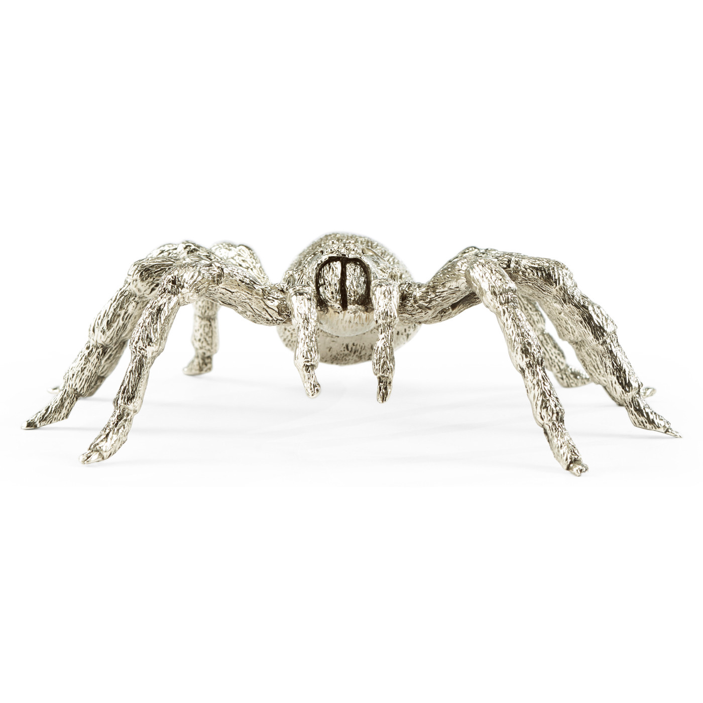 White Brass Turantula