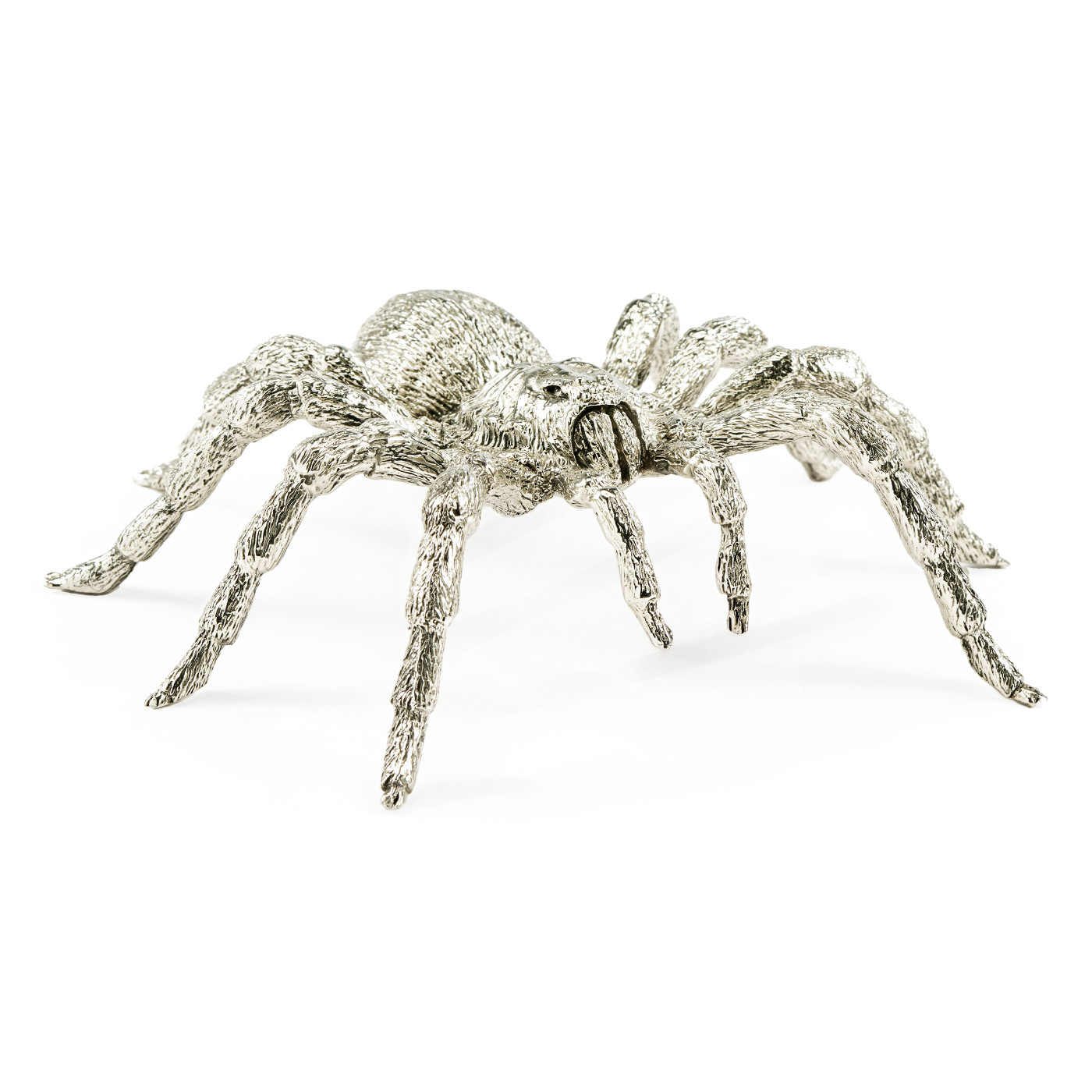 White Brass Turantula