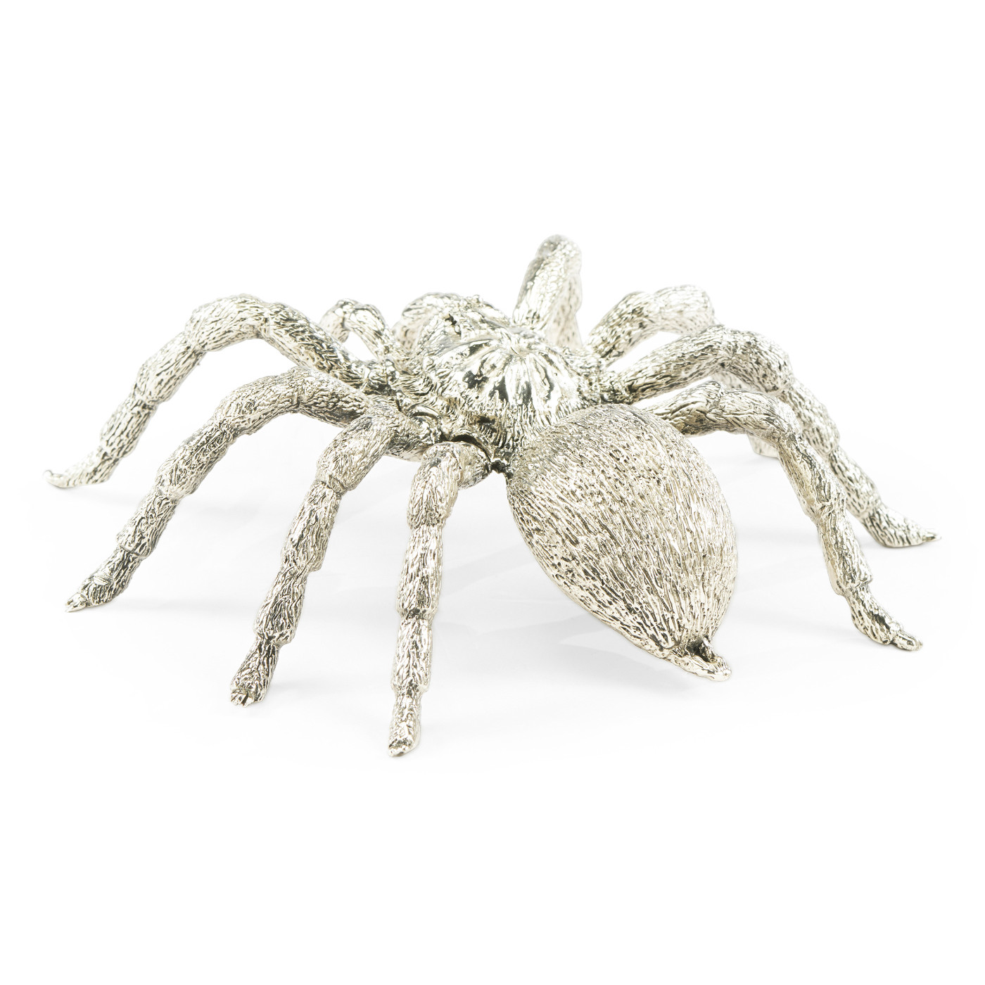 White Brass Turantula
