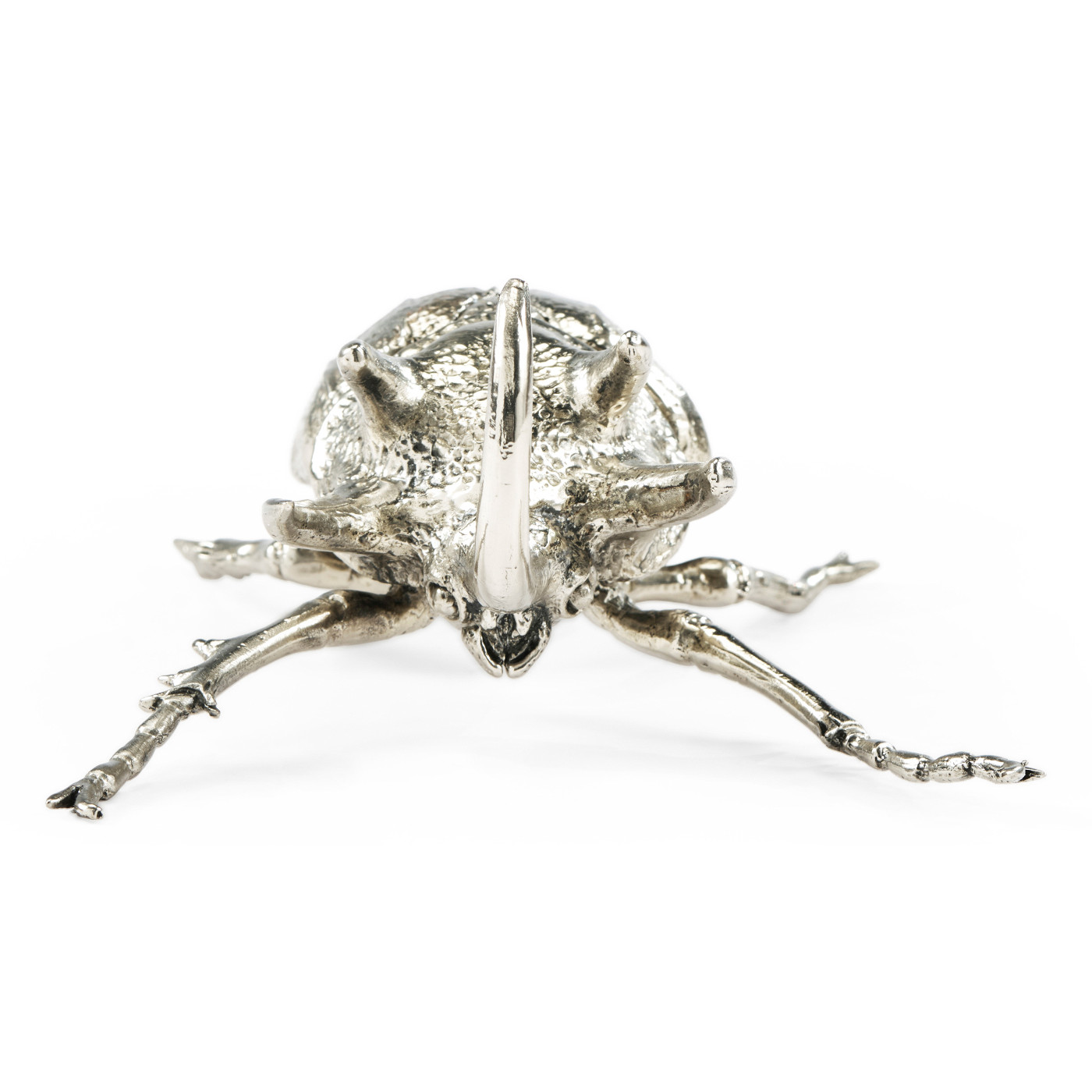 White Brass Five-Horned Rhinoceros Beetle