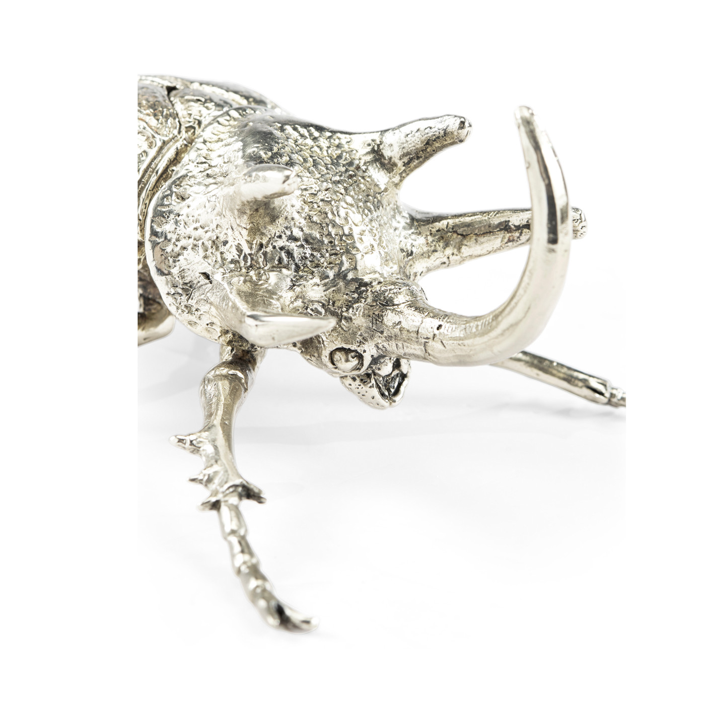 White Brass Five-Horned Rhinoceros Beetle