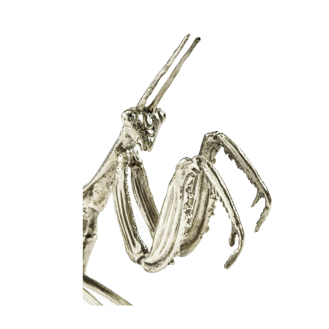 White Brass Praying Mantis