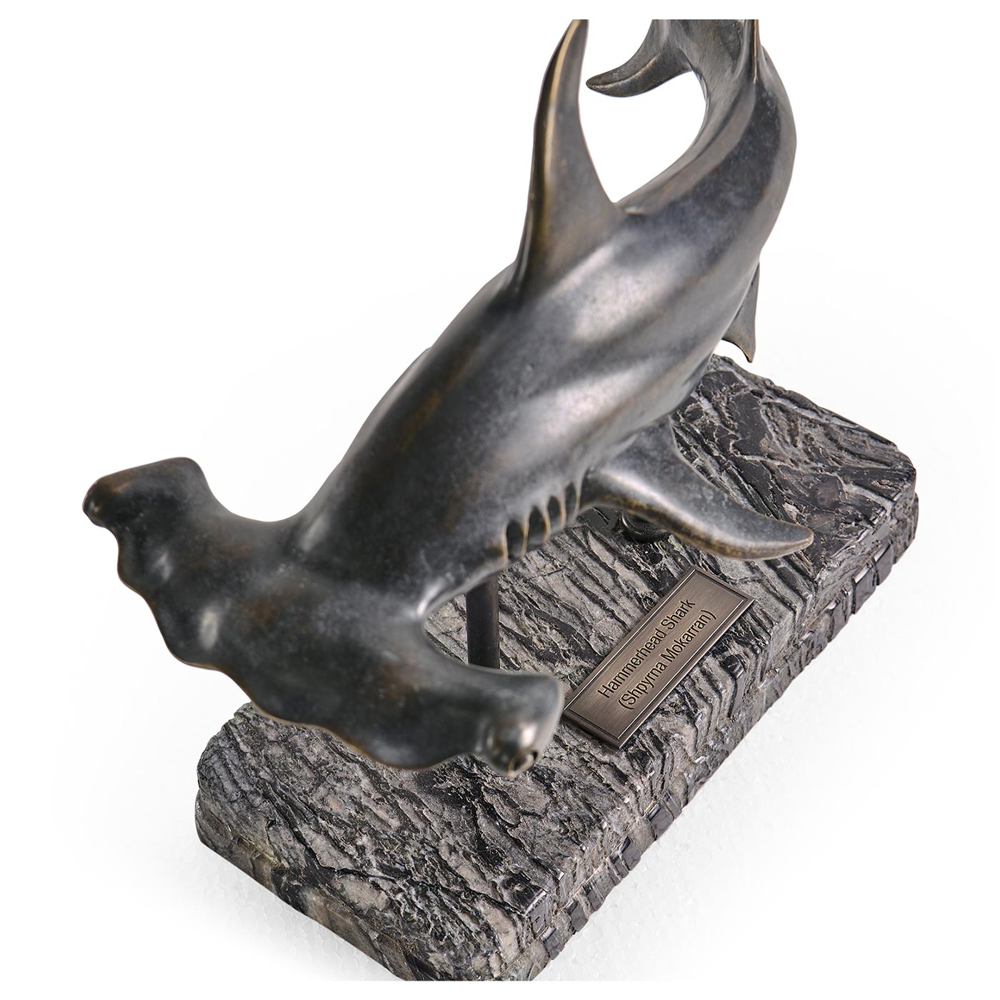 Arc Hammerhead Shark Bronze Statue with Marble Base