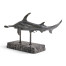 Arc Hammerhead Shark Bronze Statue with Marble Base