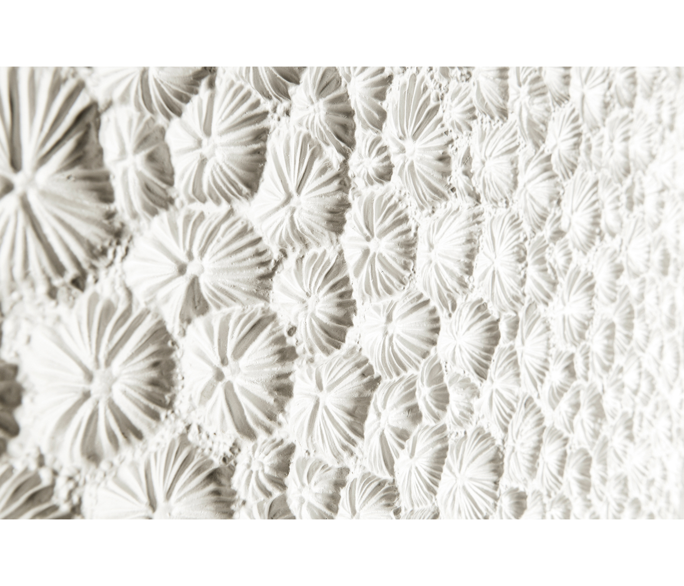 Pelagic Sculpted Bar