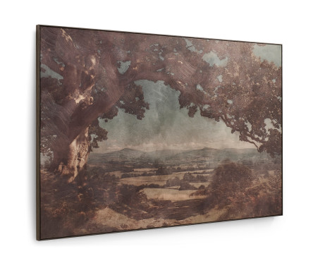 English Rolling Hills