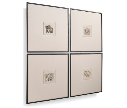 Architectural Clamshells - Set of 4