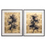 Black Orchids - Set of 2