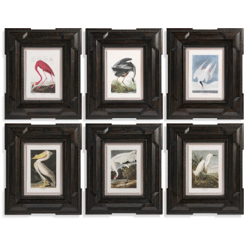Audubon Birds - Set of 6