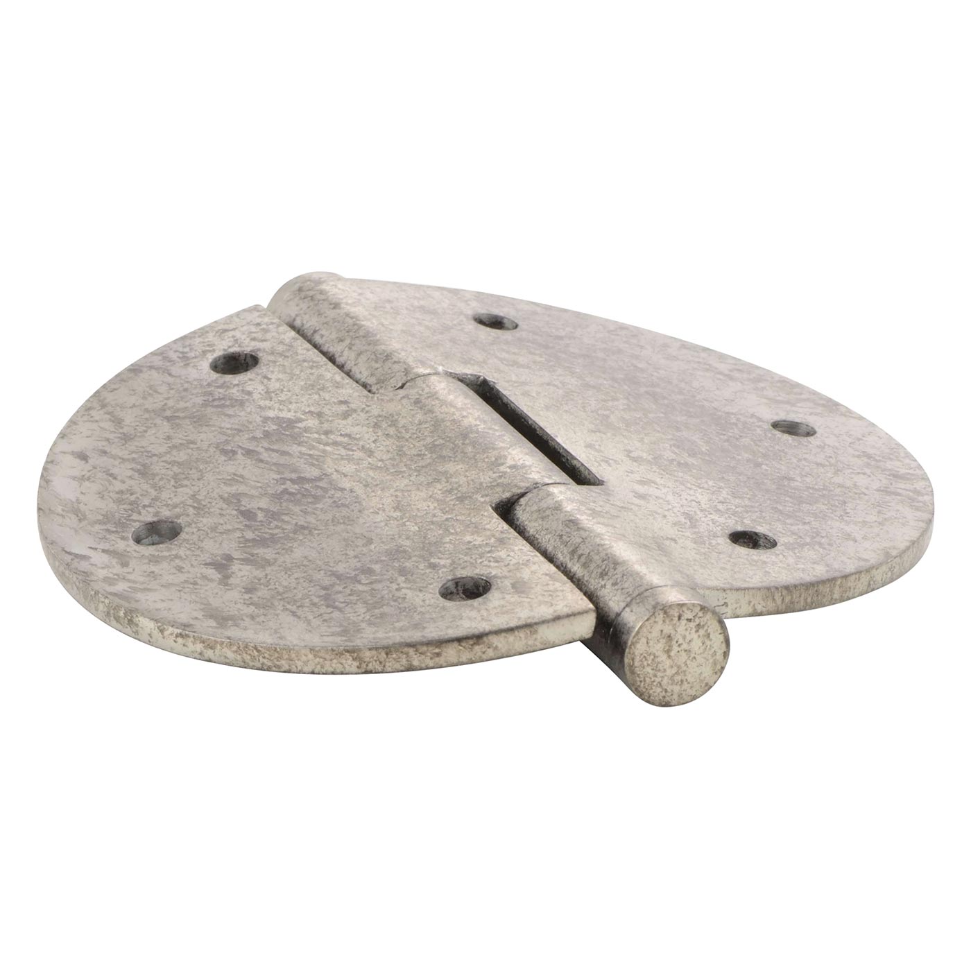 Stainless Steel Door Hinge